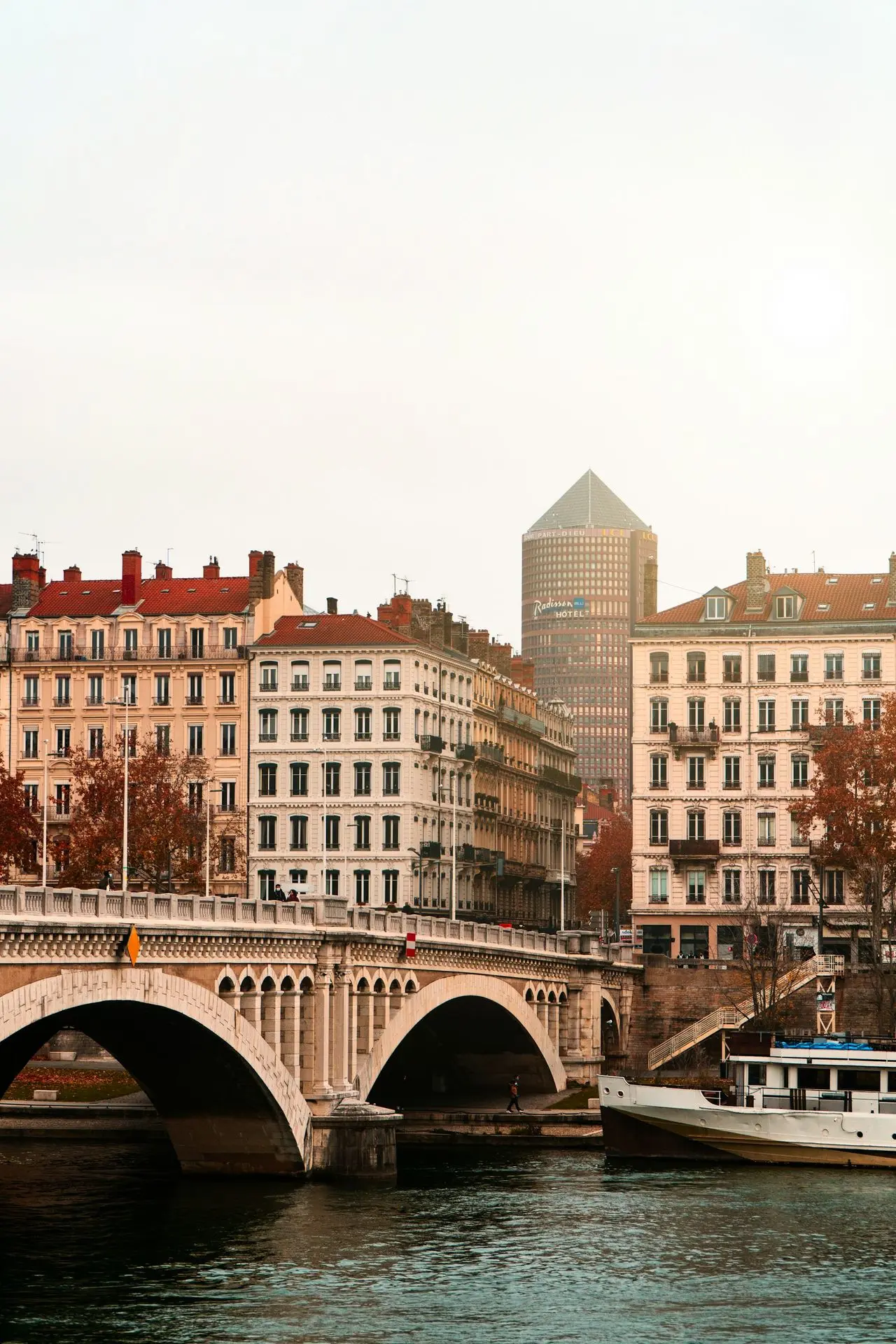 lyon vue de la rive gauche 