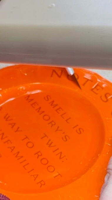 assiettes décorés en sérigraphies à l'or MAT