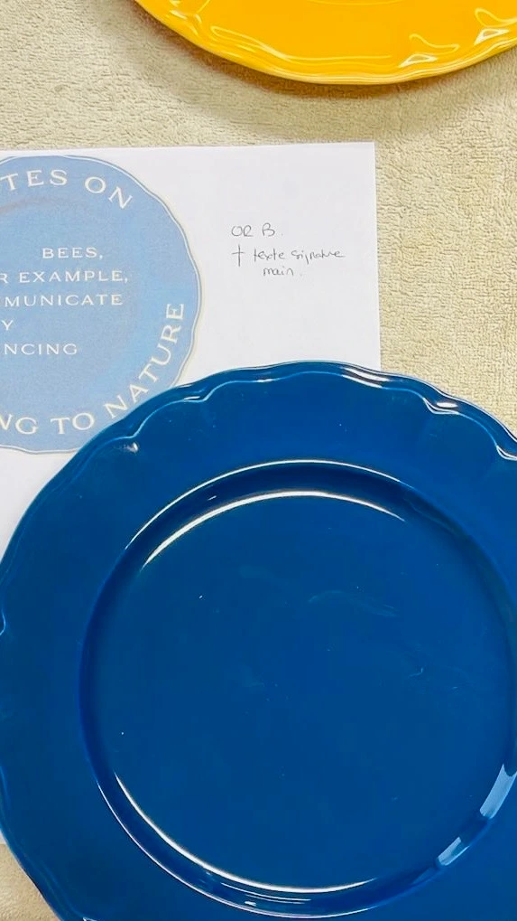 assiette sur mesure émaillé en bleu porcelaine de limoges maison manoi